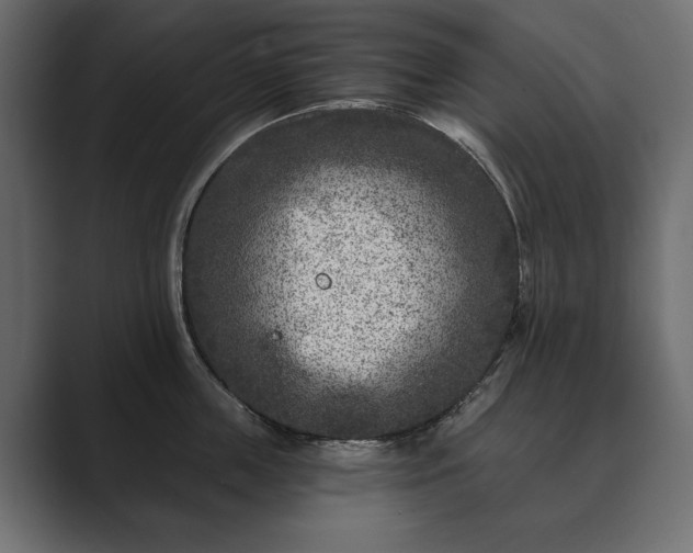 X0000089700859200706281453