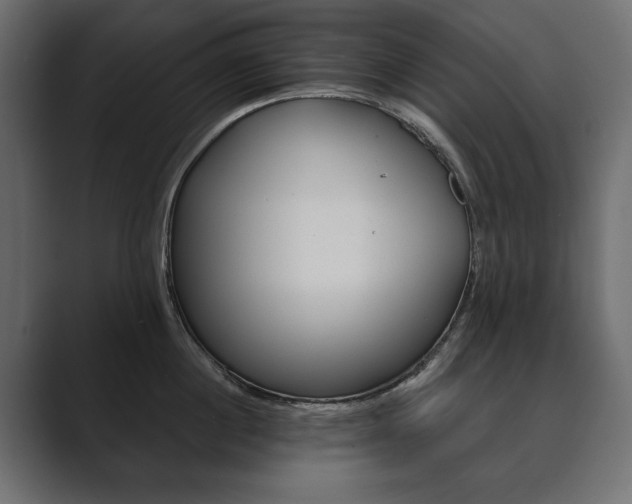 X0000089700860200706281453