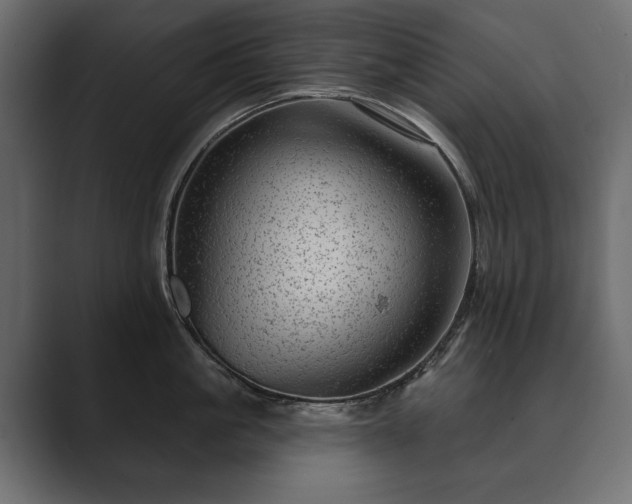 X0000089700861200706281453