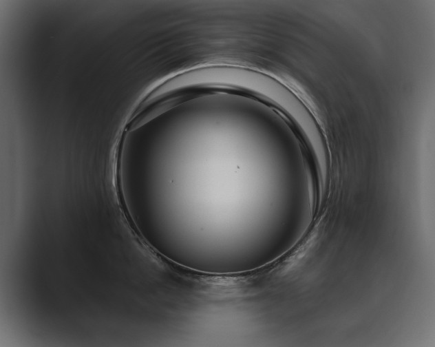 X0000089700862200706281453