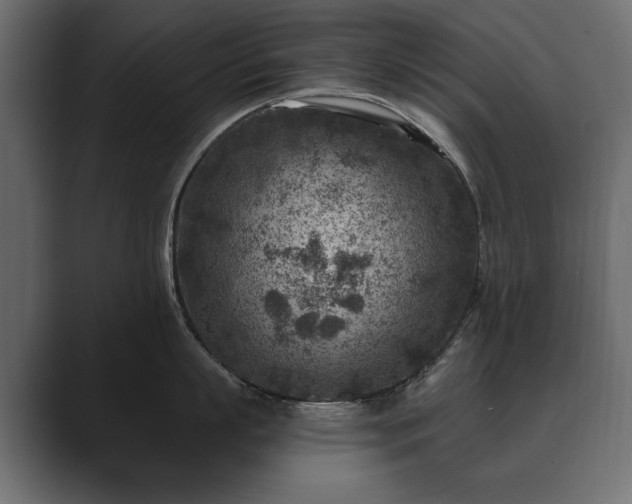 X0000089700863200706281453