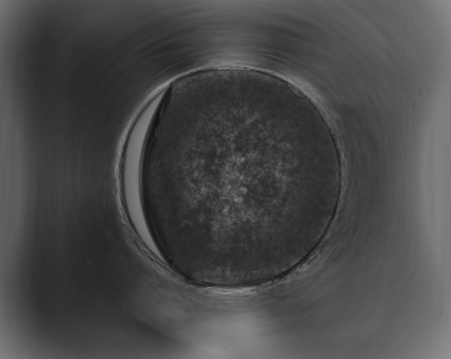 X0000089700864200706281453