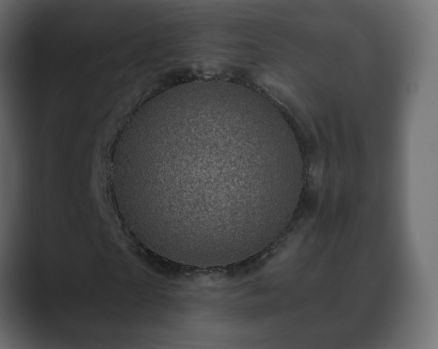 X0000089700865200706281452