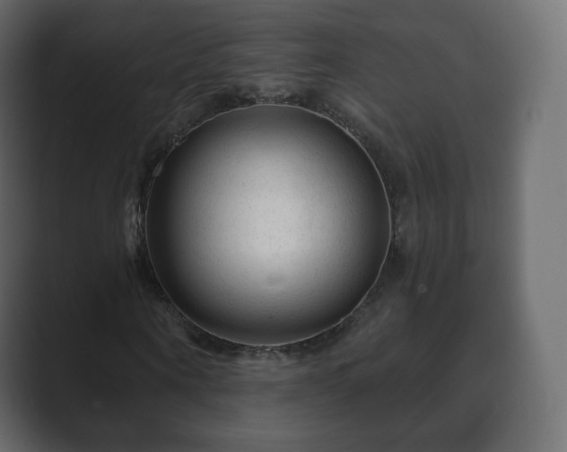 X0000089700866200706281452