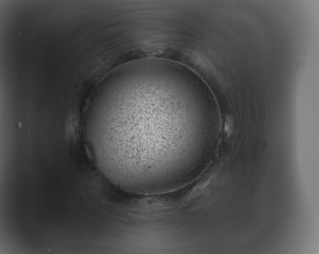 X0000089700867200706281452