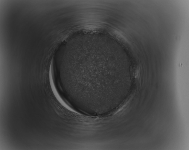 X0000089700868200706281452