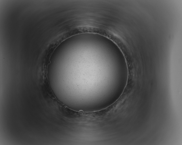 X0000089700870200706281452