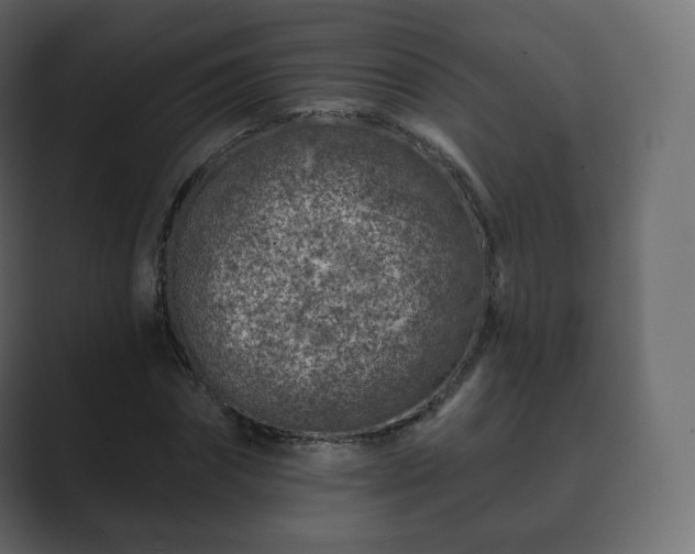 X0000089700874200706281452