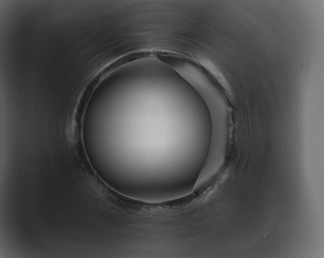 X0000089700876200706281452