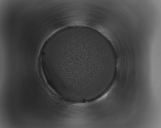 X0000089700877200706281452