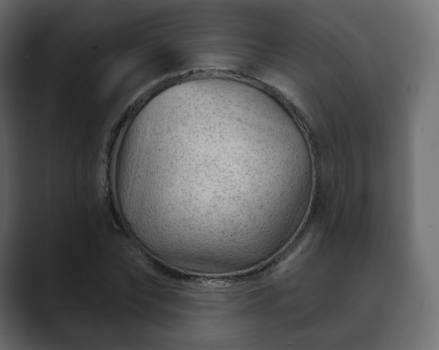 X0000089700878200706281452