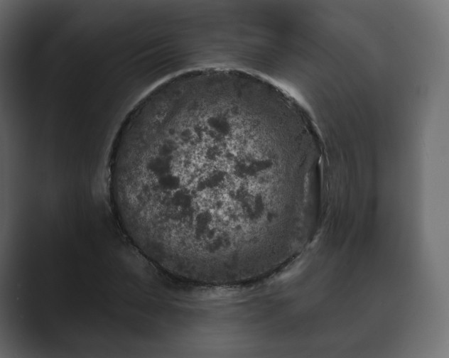 X0000089700879200706281452