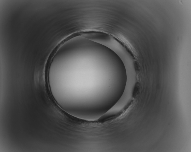 X0000089700884200706281452