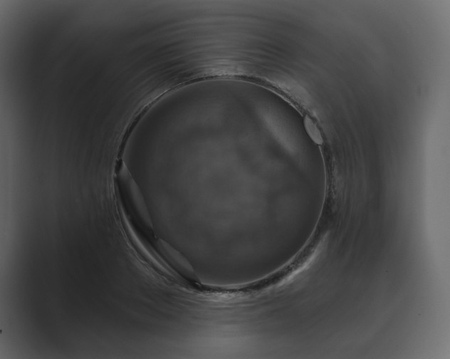 X0000089700889200706281452