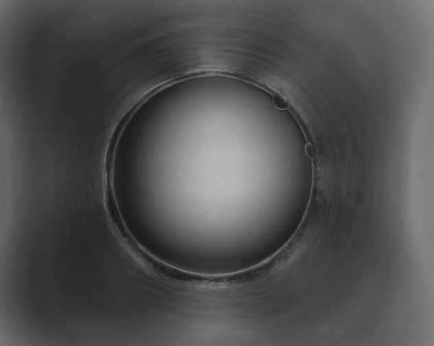 X0000089700890200706281452