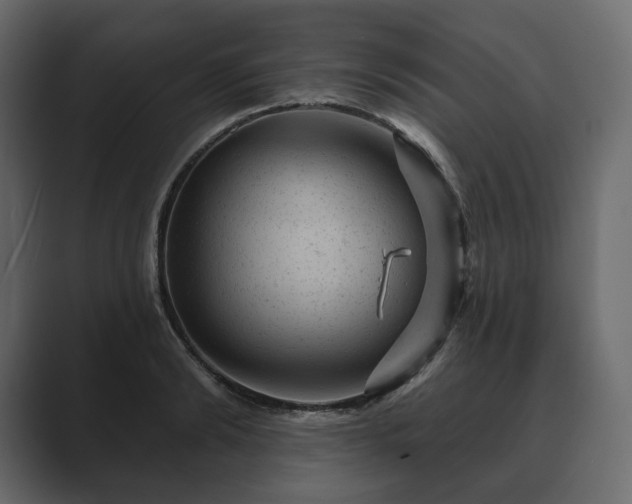 X0000089700894200706281452