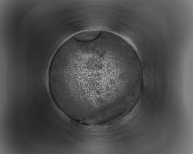 X0000089700895200706281452