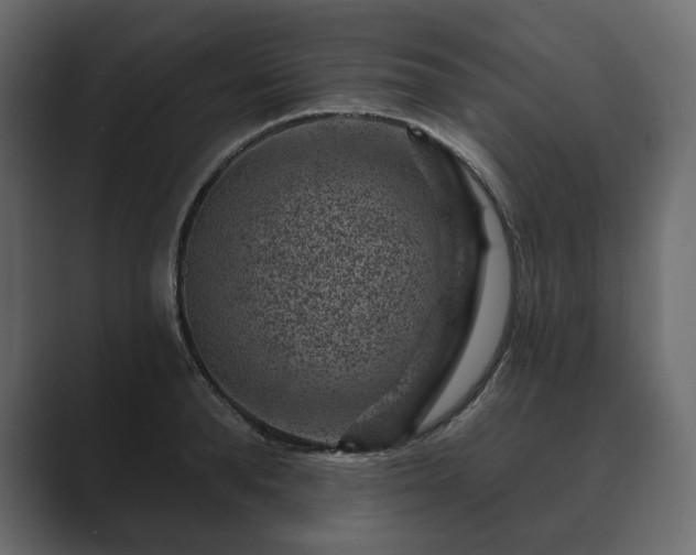 X0000089700896200706281452