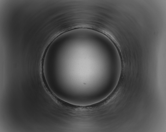 X0000089700898200706281452