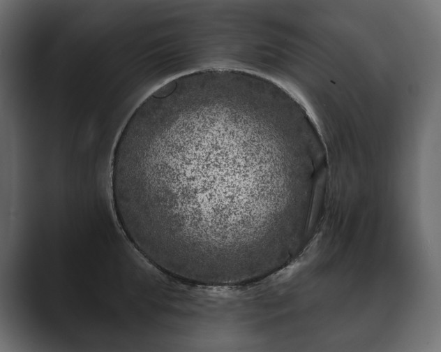 X0000089700903200706281452