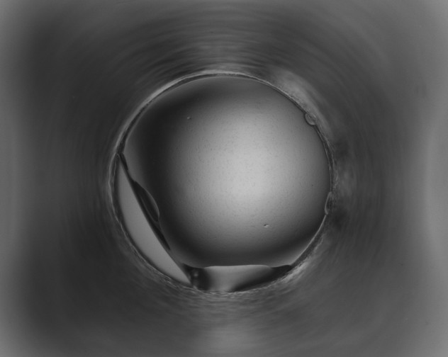 X0000089700908200706281452