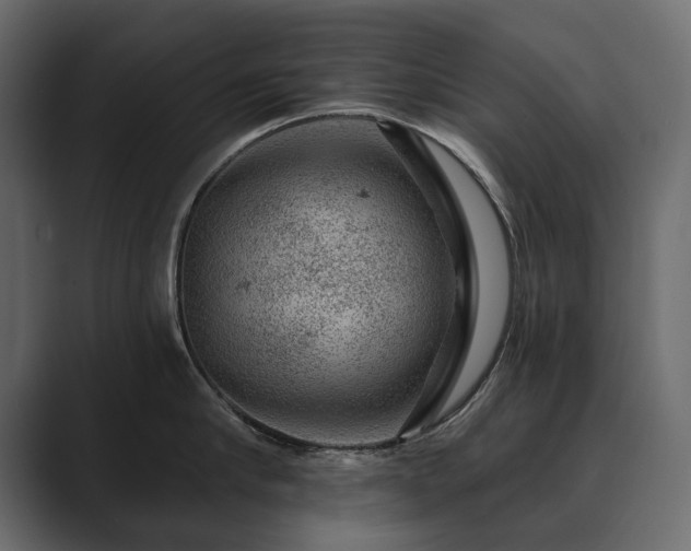 X0000089700910200706281452