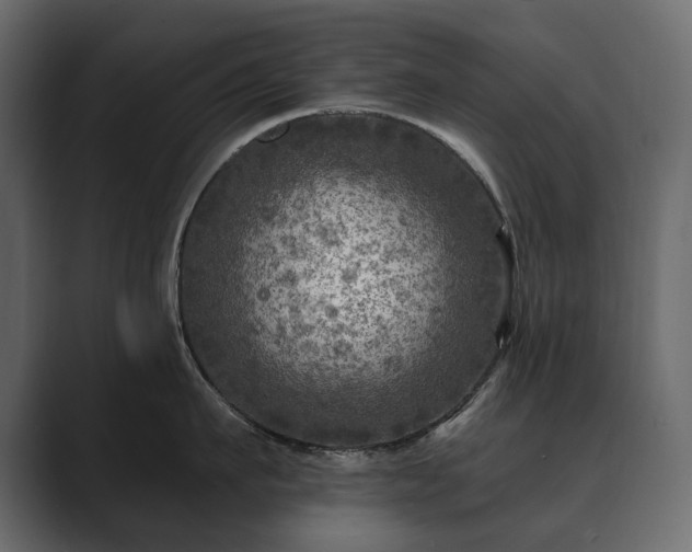 X0000089700911200706281452