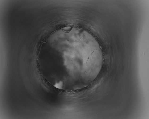 X0000089700913200706281451