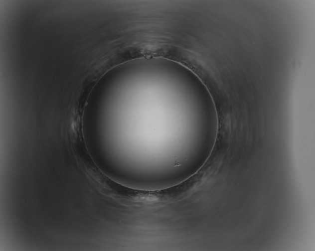 X0000089700914200706281451