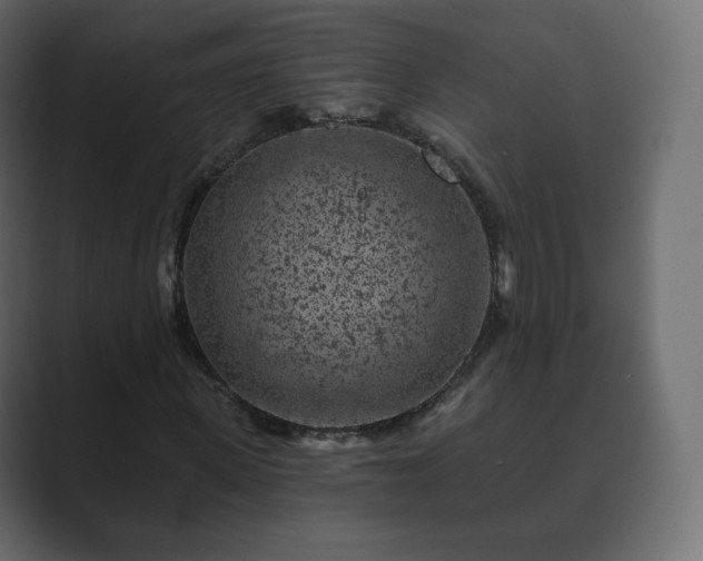 X0000089700915200706281451