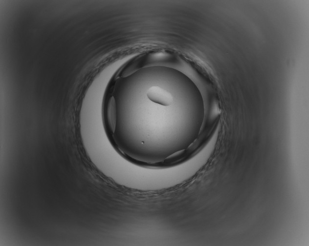 X0000089700920200706281451