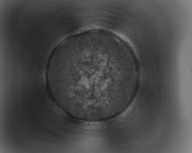 X0000089700921200706281451