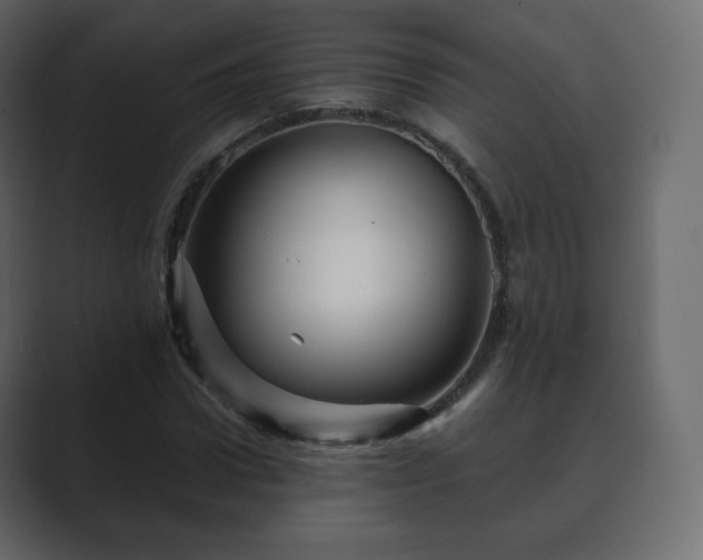 X0000089700922200706281451