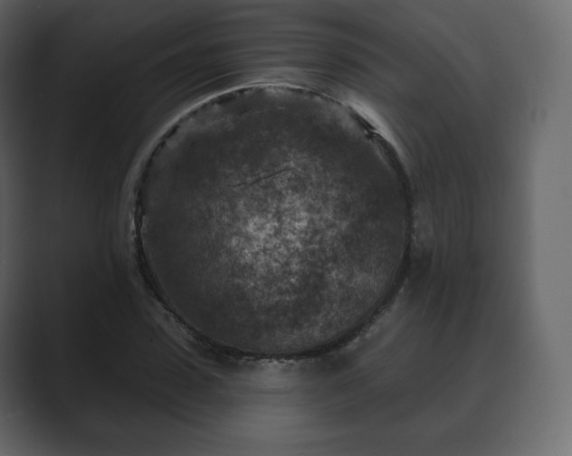 X0000089700923200706281451