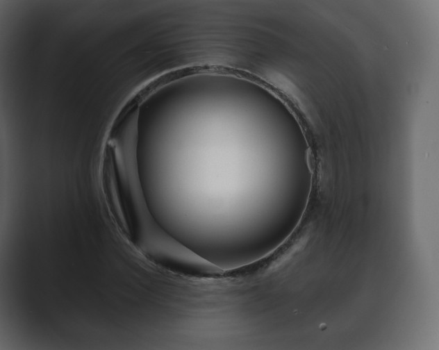 X0000089700924200706281451