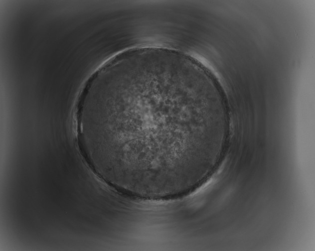 X0000089700925200706281451