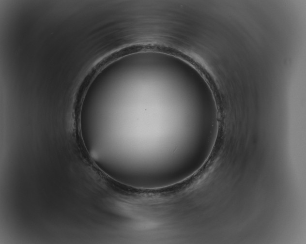 X0000089700927200706281451