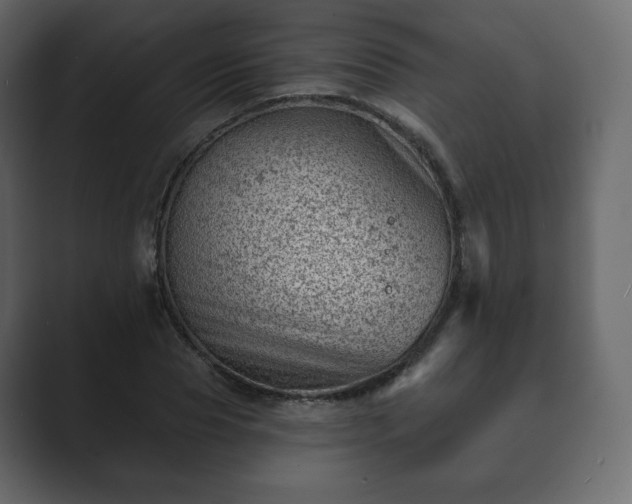 X0000089700929200706281451