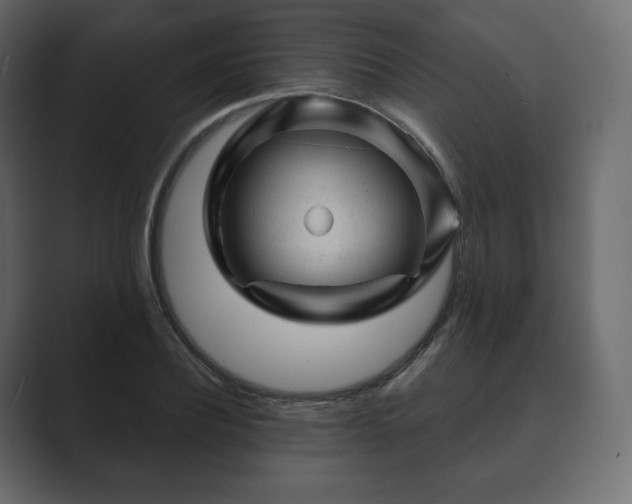 X0000089700932200706281451