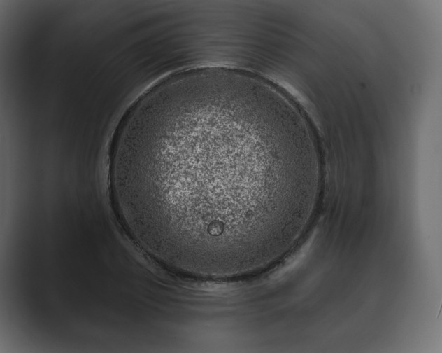 X0000089700933200706281451