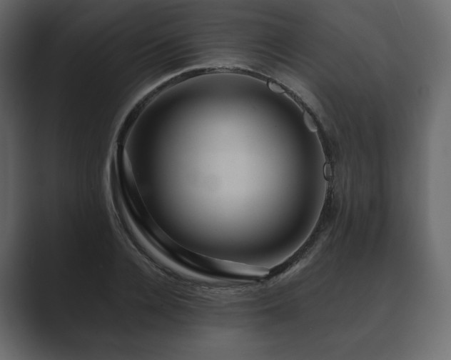 X0000089700936200706281452