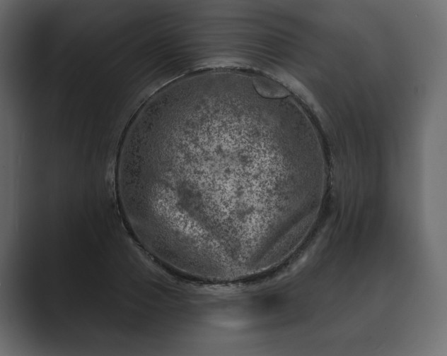 X0000089700937200706281452