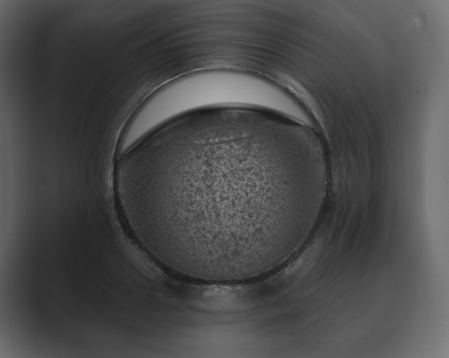 X0000089700938200706281452