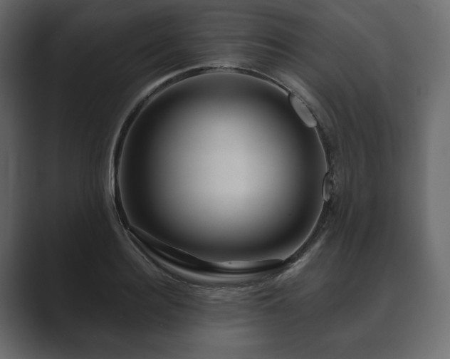 X0000089700940200706281452