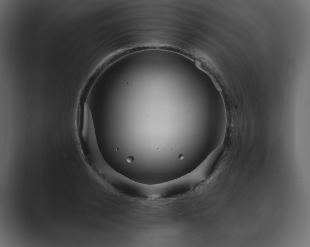 X0000089700942200706281452