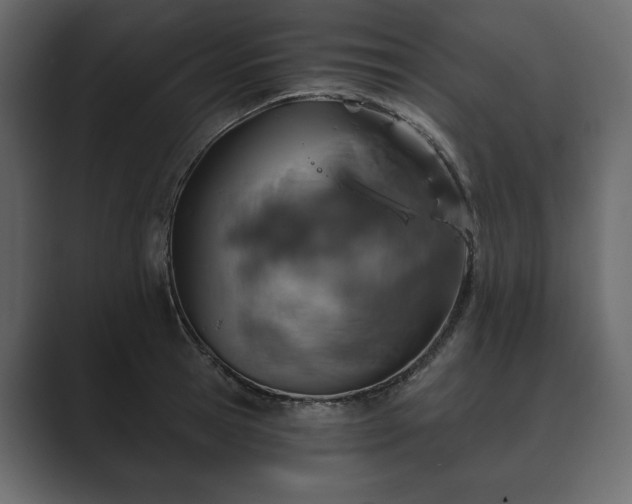 X0000089700945200706281452