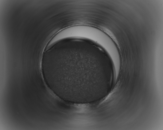 X0000089700946200706281452