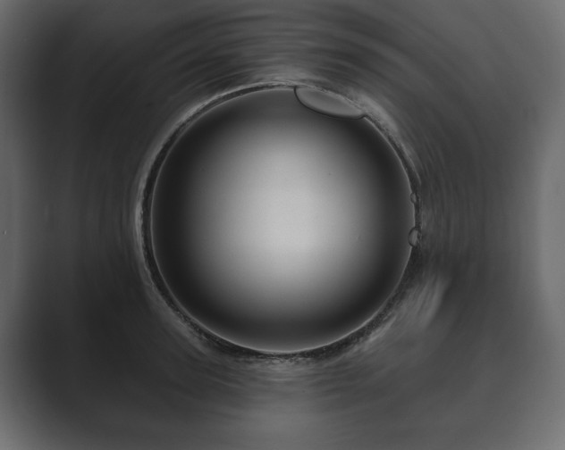 X0000089700947200706281452