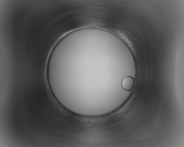 X0000089700948200706281452