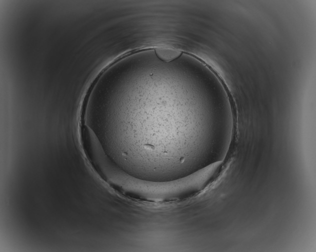 X0000089700949200706281452